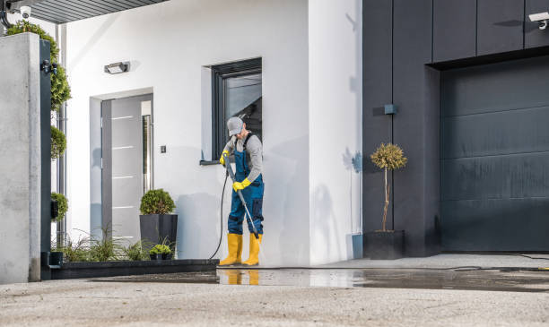Pre-Holiday Cleaning in Stuarts Draft, VA