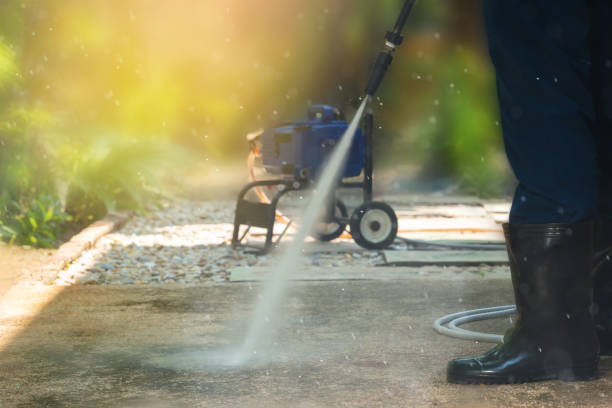 Animal Enclosure Cleaning in Stuarts Draft, VA